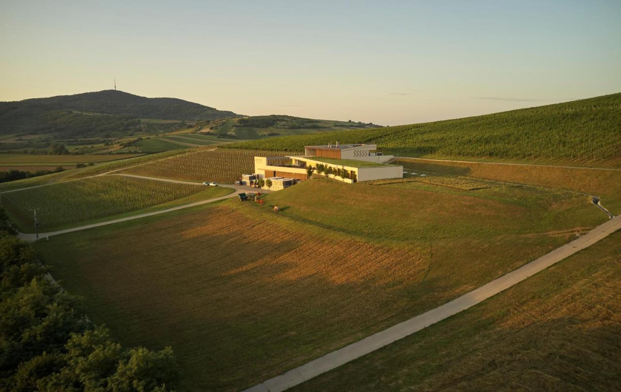 Henye Vendégház Bodrogkeresztur Exterior foto